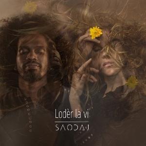 CD Shop - SAODAJ LODER LA VI