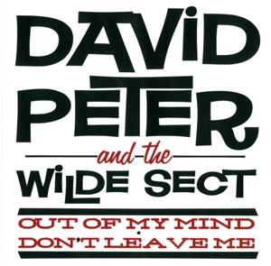 CD Shop - DAVID -AND THE WILDE SECT- PETER OUT OF OUR MIND