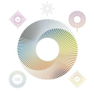 CD Shop - TUOMAS PAUKKU SCRIPTION WHIRLS