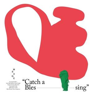 CD Shop - M SAGE CATCH THE BLESSING