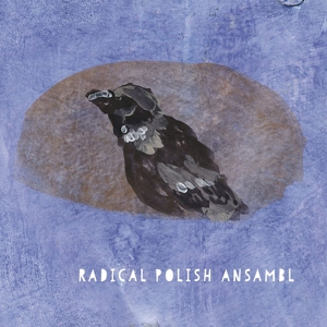 CD Shop - RADICAL POLISH ANSAMBL RADICAL POLISH ANSAMBL