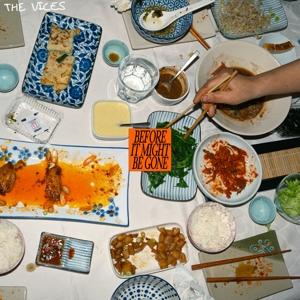 CD Shop - THE VICES BEFORE IT MIGHT BE GONE