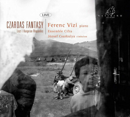 CD Shop - FERENC VIZI FRANZ LISZT