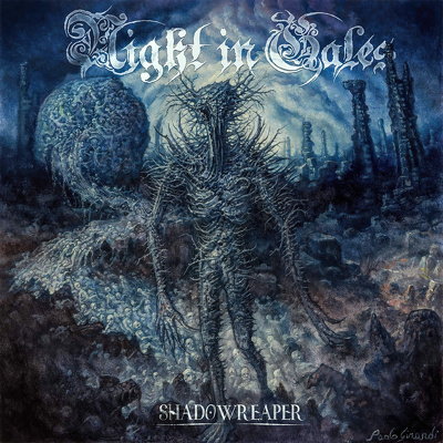 CD Shop - NIGHT IN GALES SHADOWREAPER