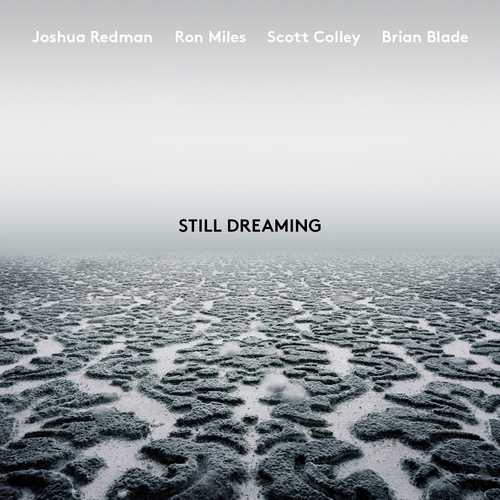 CD Shop - REDMAN, JOSHUA STILL DREAMING (FEAT. RON MILES, SCOTT COLLEY & BRIAN BLADE)