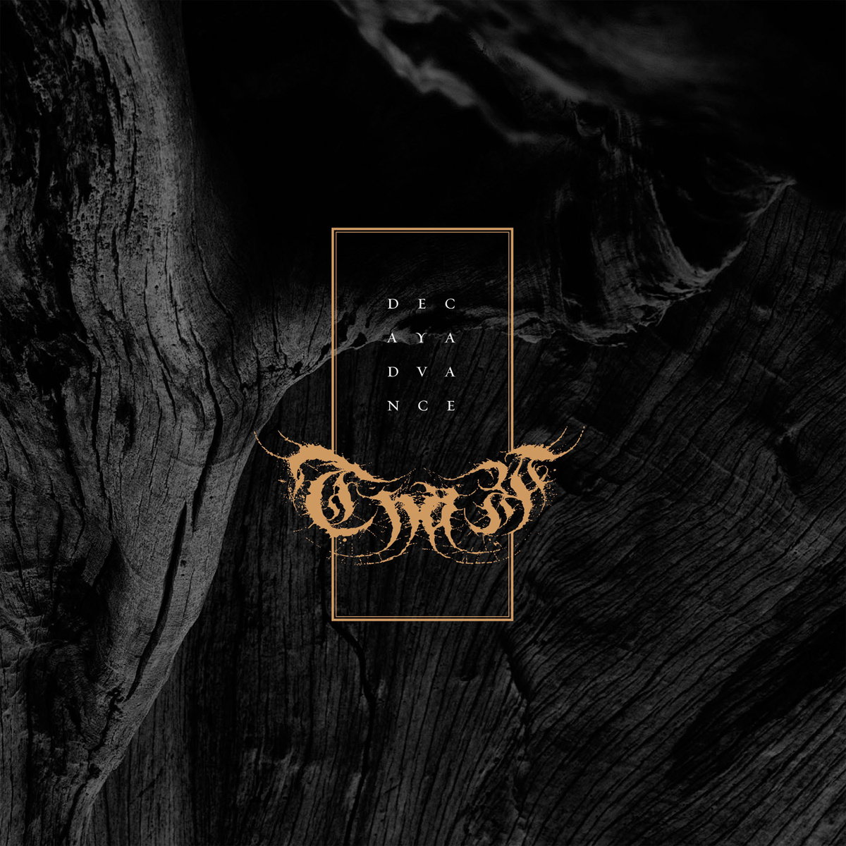 CD Shop - THAW DECAY/ADVANCE