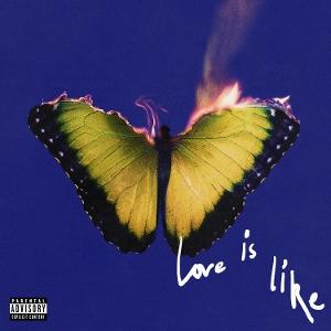 CD Shop - MAROON 5 Love Is Like