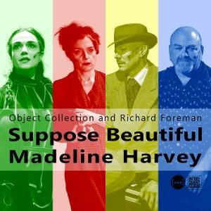 CD Shop - RICHARD FOREMAN,OBJECT COLLECTION SUPPOSE BEAUTIFUL MADE...