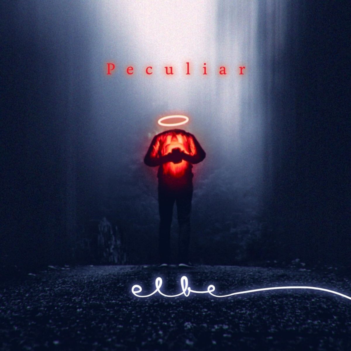 CD Shop - ELBE PECULIAR