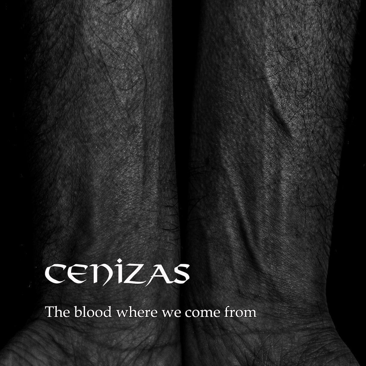 CD Shop - CENIZAS BLOOD WHERE WE COME FROM