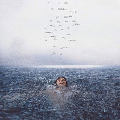 CD Shop - SHAWN MENDES WONDER