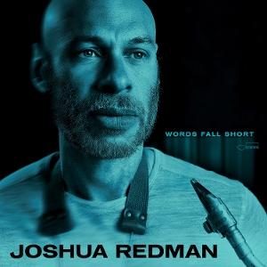 CD Shop - JOSHUA REDMAN WORDS FALL SHORT
