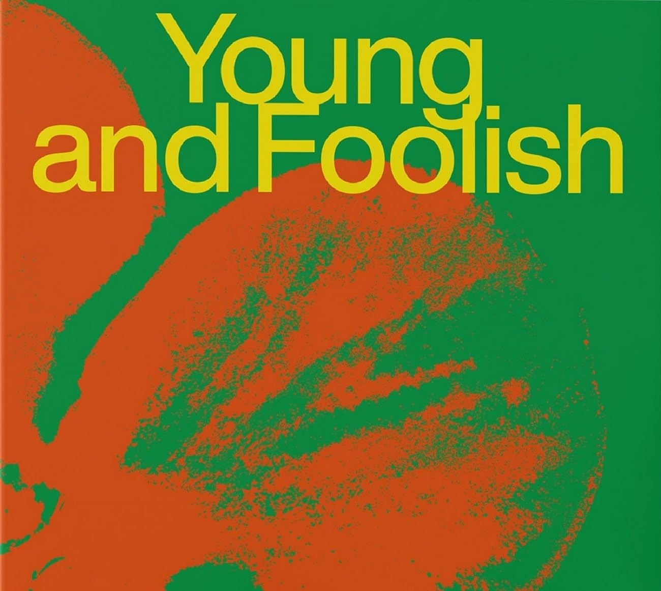 CD Shop - FLORIAN RAEPKE BIG BAND YOUNG AND FOOLISH