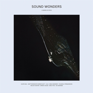 CD Shop - VARIOUS ARTISTS SOUND WONDERS