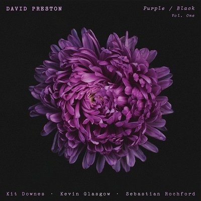 CD Shop - DAVID PRESTON PURPLE / BLACK VOL.1
