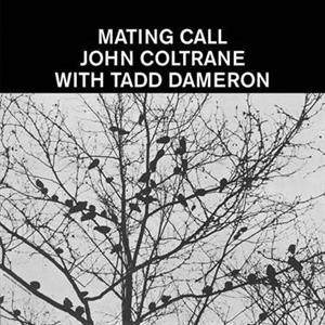 CD Shop - TADD & JOHN COLTRANE DAMERON Tadd & John Coltrane Dameron - Mating Call