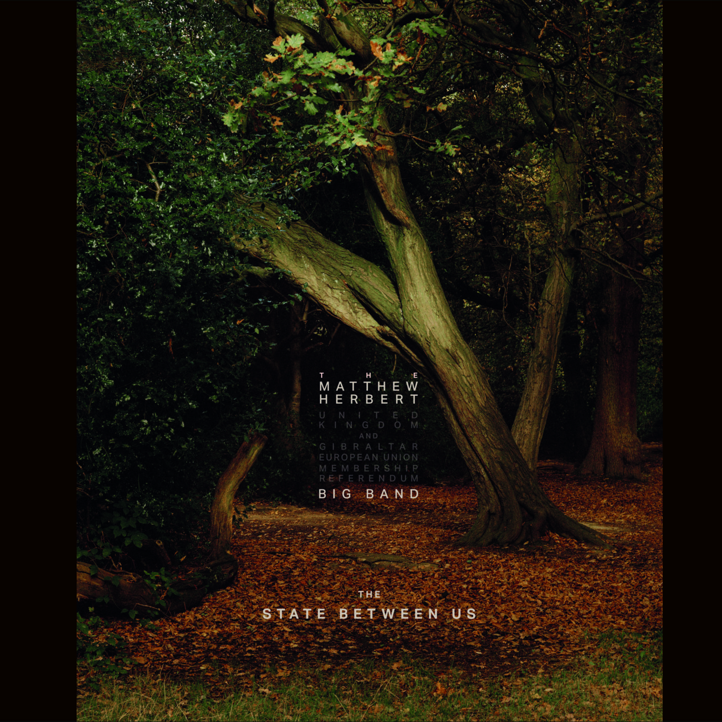 CD Shop - THE MATTHEW HERBERT BIG BAND STATE BETWEEN US