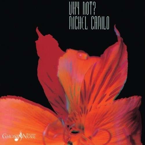 CD Shop - MICHEL CAMILO WHY NOT