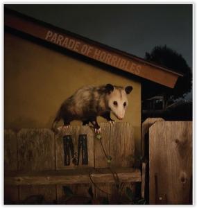 CD Shop - PARADE OF HORRIBLES NMA