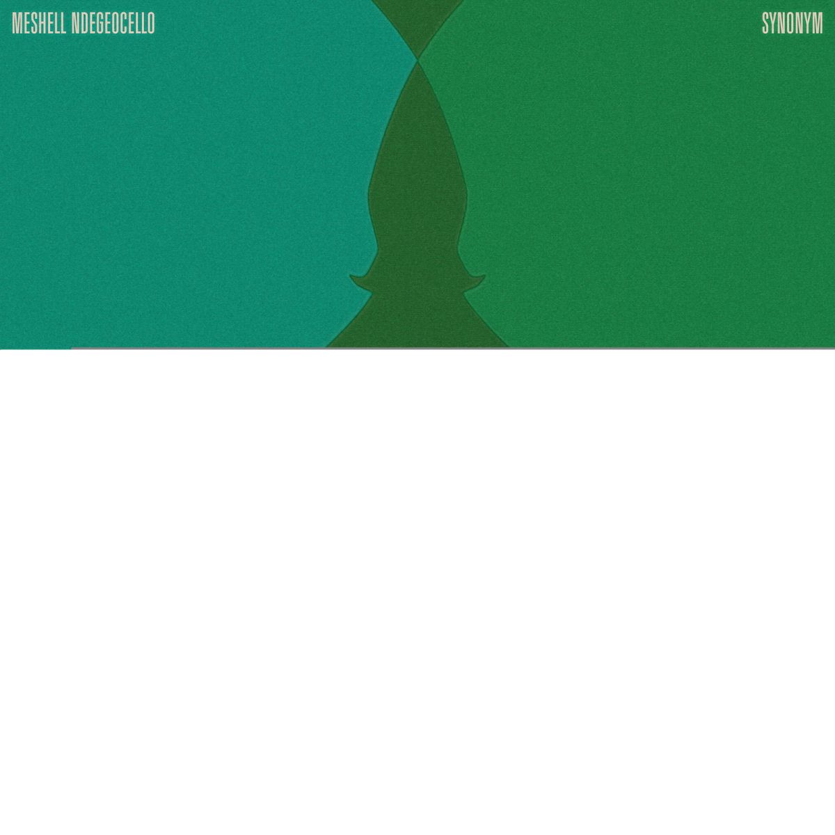 CD Shop - MESHELL NDEGEOCELLO SYNONYM
