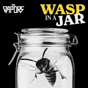 CD Shop - THE VAPORS WASP IN A JAR