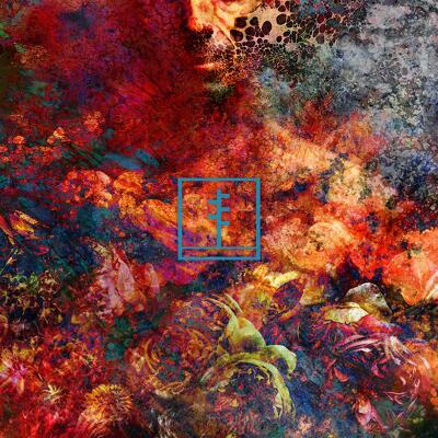 CD Shop - FRAIL BODY ARTIFICIAL BOUQUET