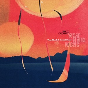 CD Shop - YUSSEF DAYES TOM MISCH WHAT KINDA MUSIC