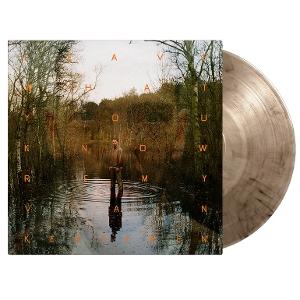 CD Shop - REMY VAN KESTEREN LEAVE WHAT YOU KNOW