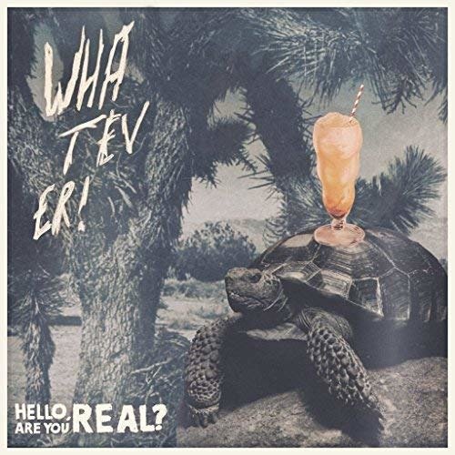 CD Shop - WHATEVER HELLO ARE YOU REAL / A...
