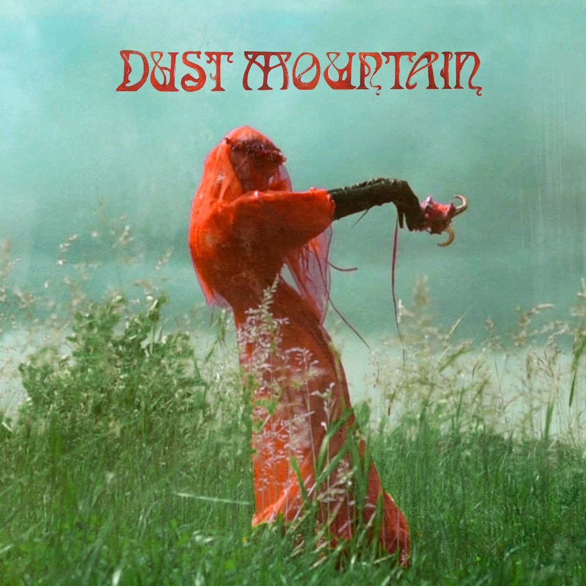CD Shop - DUST MOUNTAIN HYMNS FOR WILDERNESS