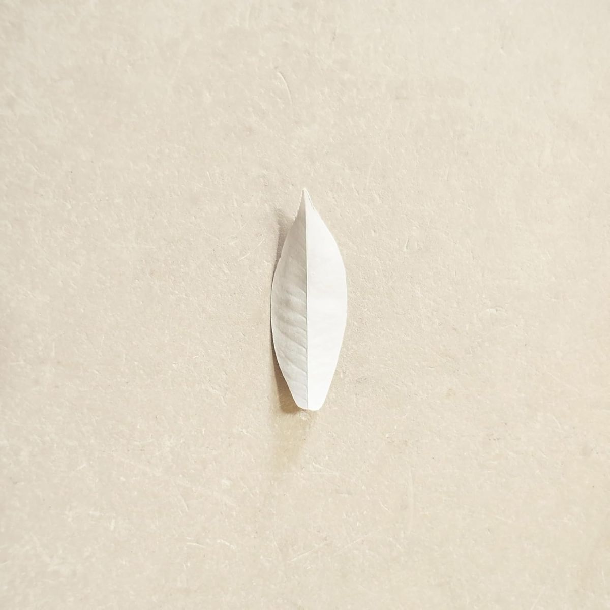 CD Shop - SYLVAIN CHAUVEAU COMPLEXITY OF THE SIMPLE