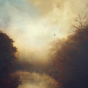 CD Shop - STRAY THEORIES THIS LIGHT