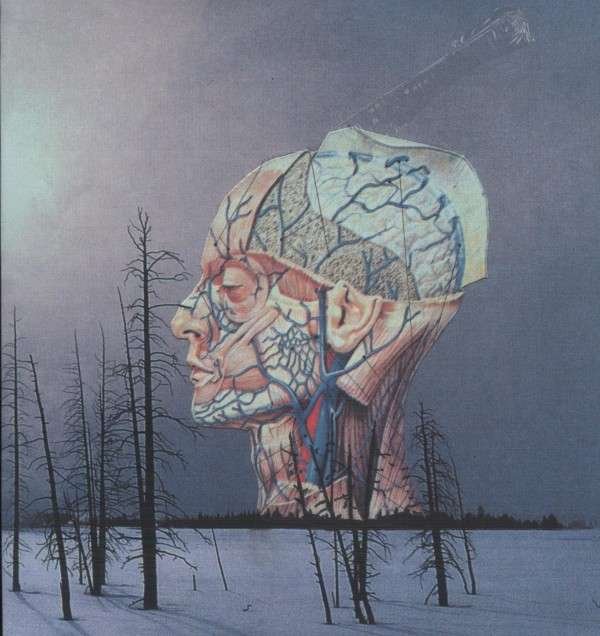 CD Shop - LOW SONGS FOR A DEAD PILOT