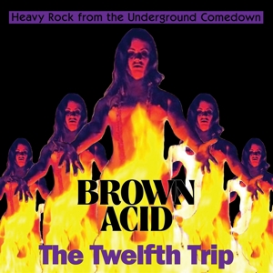 CD Shop - VARIOUS ARTISTS BROWN ACID: THE TWELFT...
