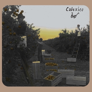 CD Shop - CALEXICO SPOKE