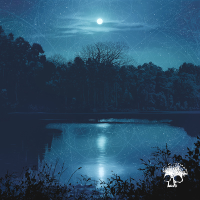 CD Shop - PLANES MISTAKEN FOR STARS DO YOU STILL LOVE ME?