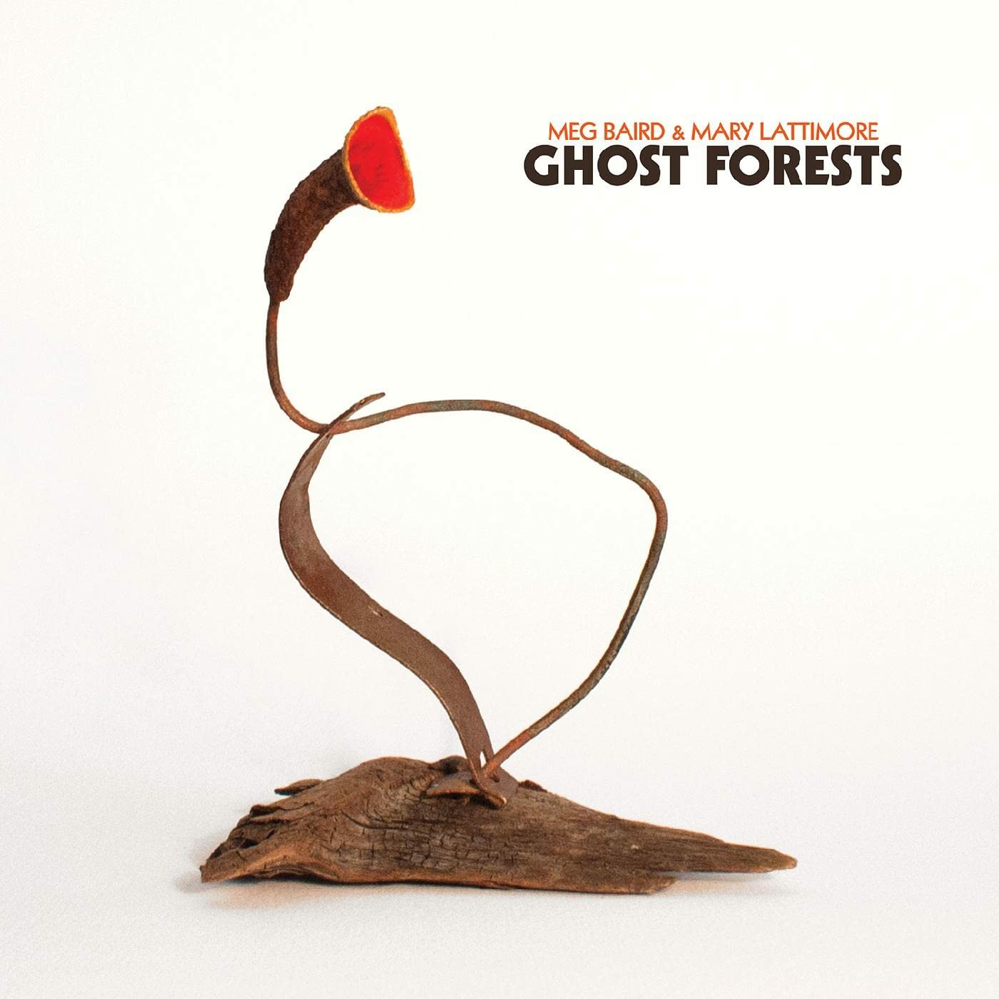 CD Shop - MEG AND MARY LATTIMORE BAIRD GHOST FORESTS