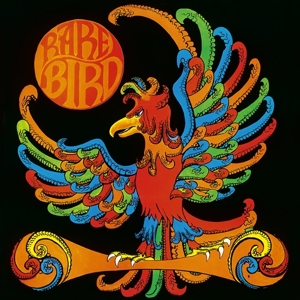 CD Shop - RARE BIRD RARE BIRD