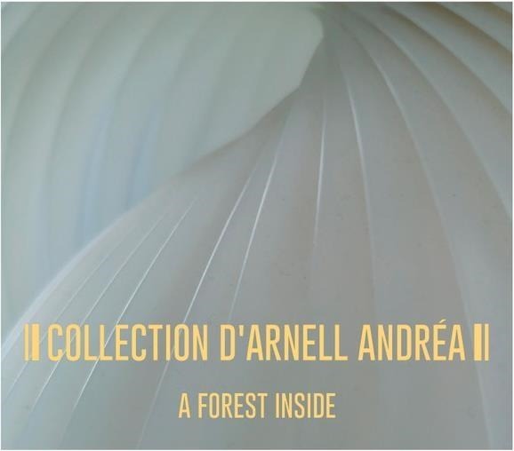 CD Shop - COLLECTION D\