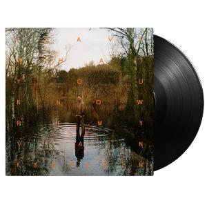 CD Shop - REMY VAN KESTEREN LEAVE WHAT YOU KNOW