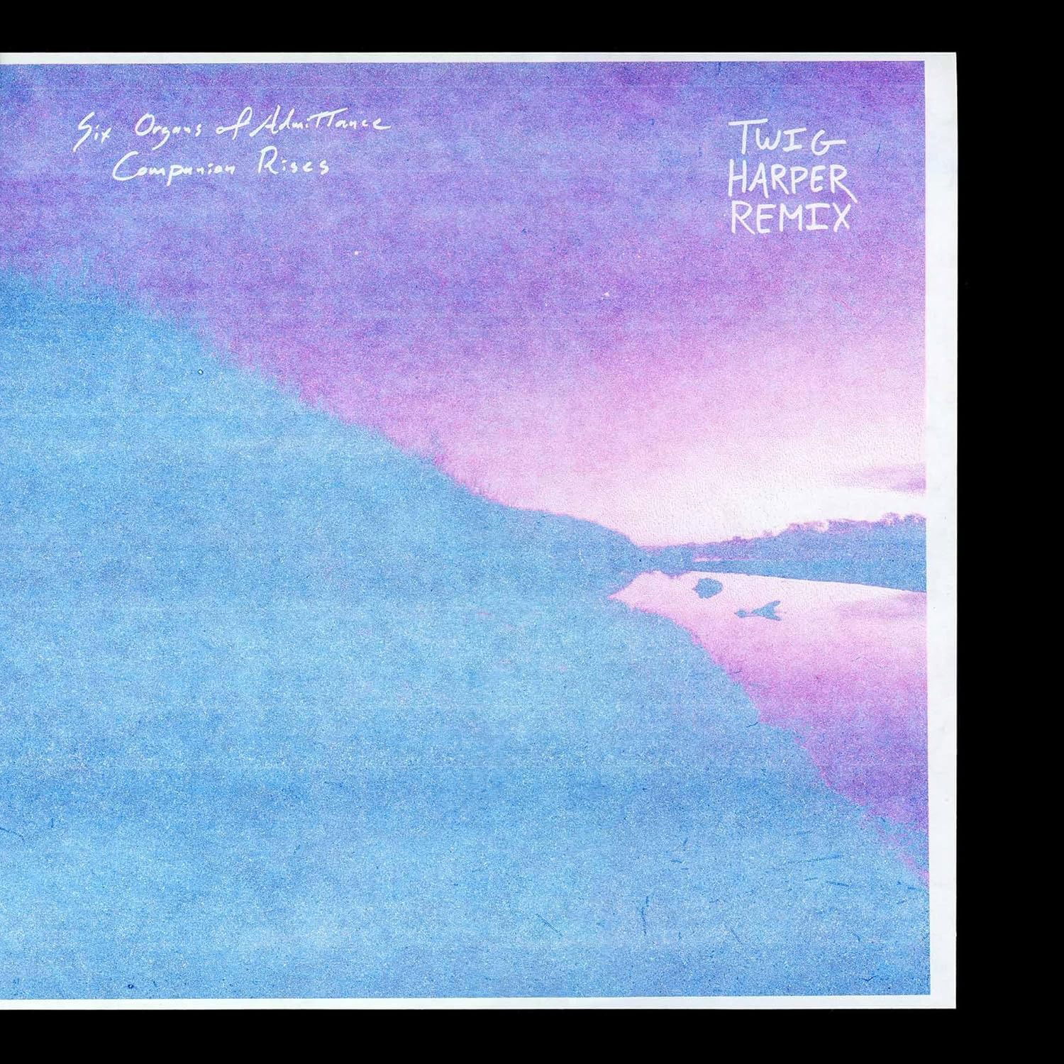 CD Shop - SIX ORGANS OF ADMITTANCE,TWIG HARPER COMPANION RISES