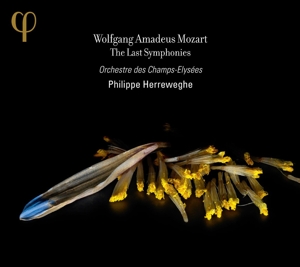 CD Shop - WIENER PHILHARM PETER SCHMIDL LAST SYMPHONIES