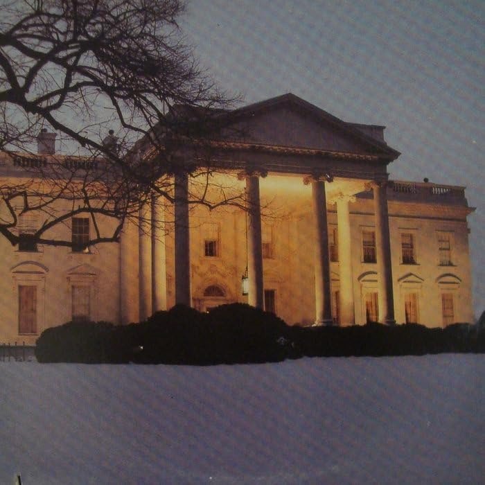 CD Shop - DEAD C WHITE HOUSE