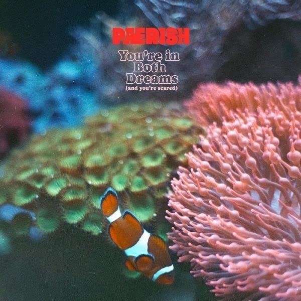 CD Shop - PAERISH YOU\