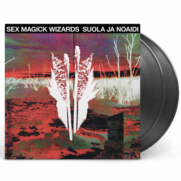 CD Shop - SEX MAGICK WIZARDS SUOLA JA NOAIDI