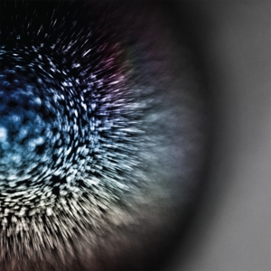 CD Shop - EMPTYSET BLOSSOMS