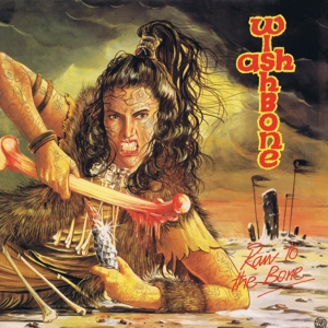 CD Shop - WISHBONE ASH RAW TO THE BONE