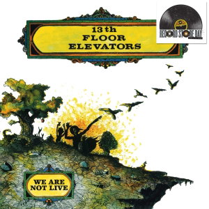 CD Shop - 13TH FLOOR ELEVATORS WE ARE NOT LIVE