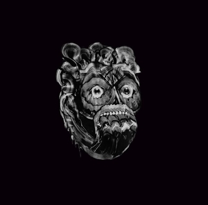 CD Shop - VVOVNDS DESCENDING FLESH