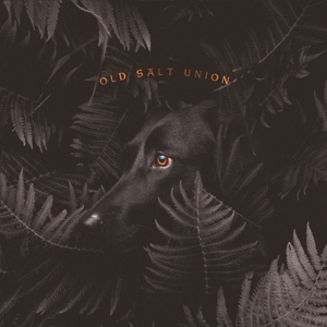 CD Shop - OLD SALT UNION WHERE THE DOGS DON\